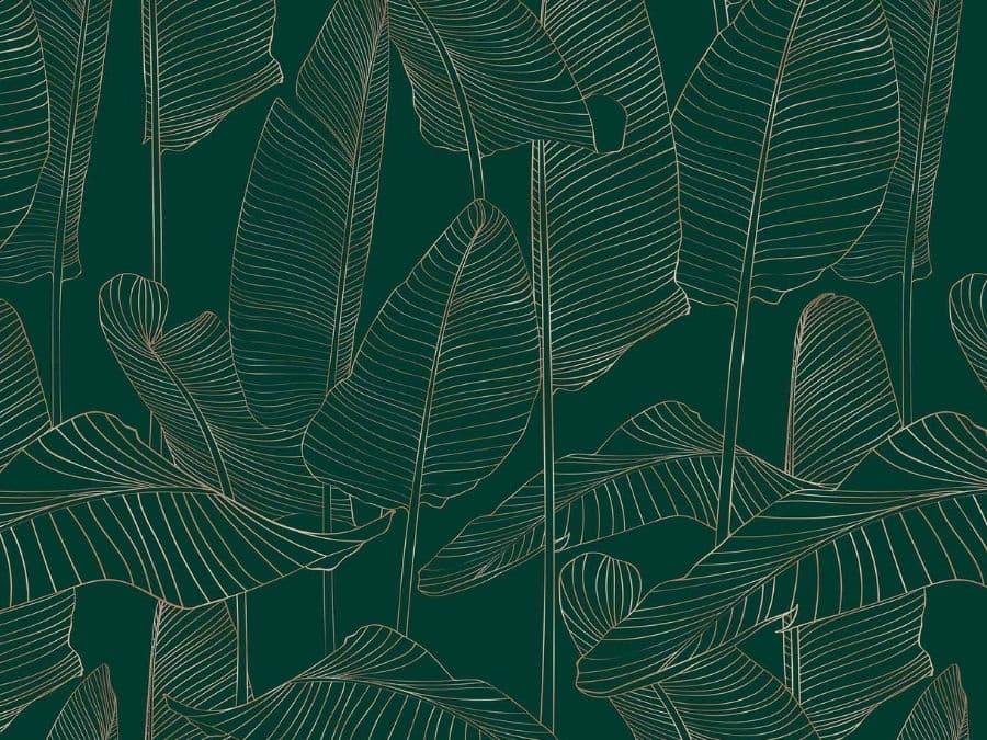 Banana Leaf Wallpaper About Murals