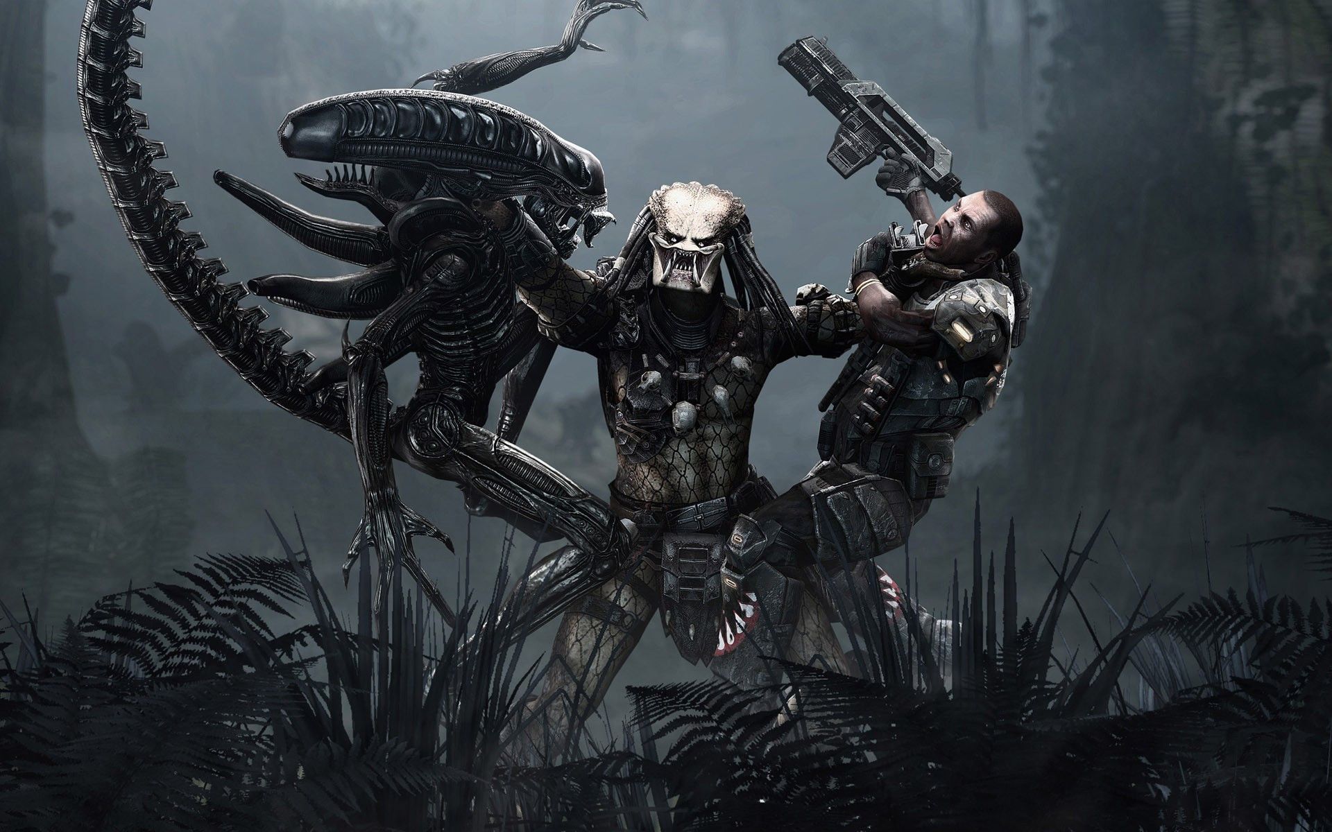 Alien Vs Predator Wallpaper Full HD Search