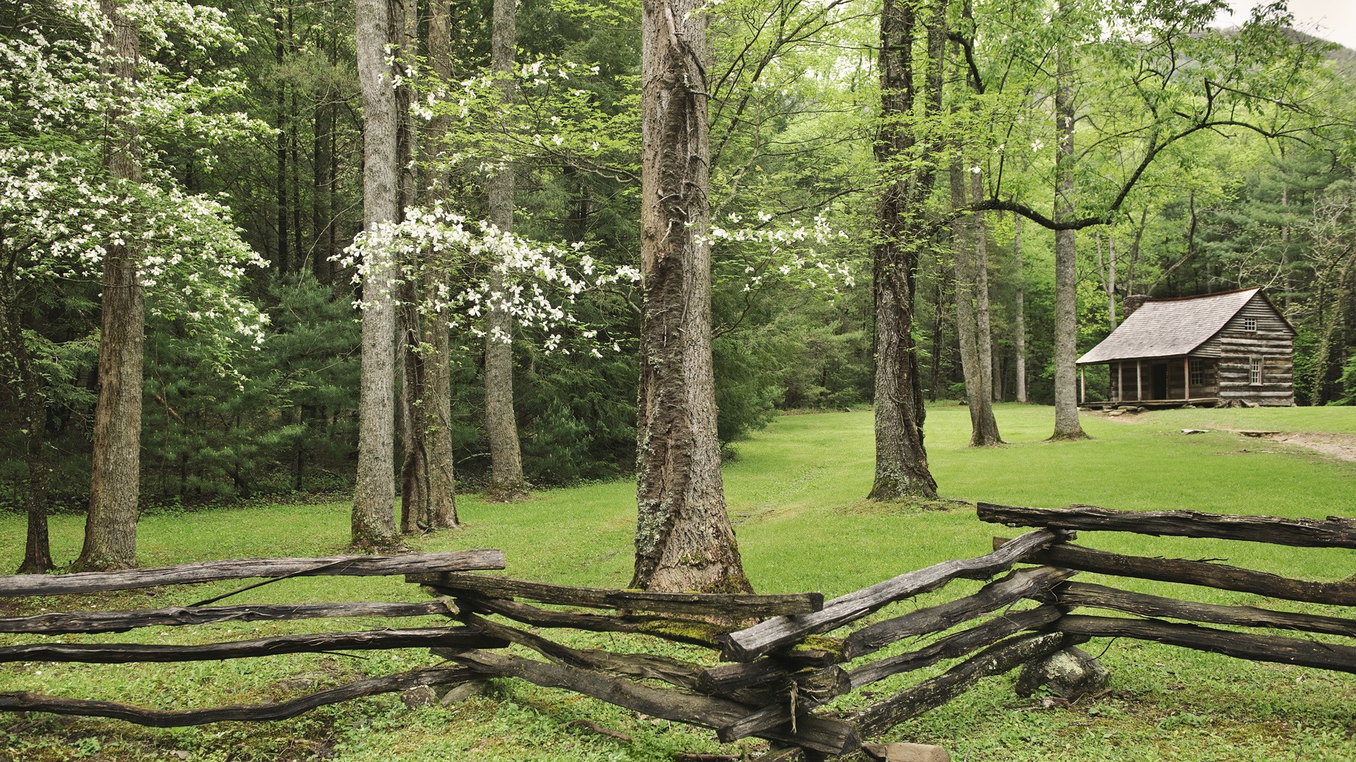 Mountains Spring Wallpaper Tennessee