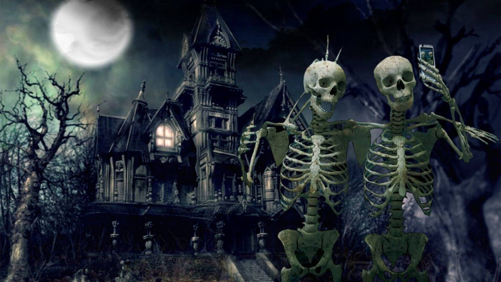 Skeleton Meme Wallpaper
