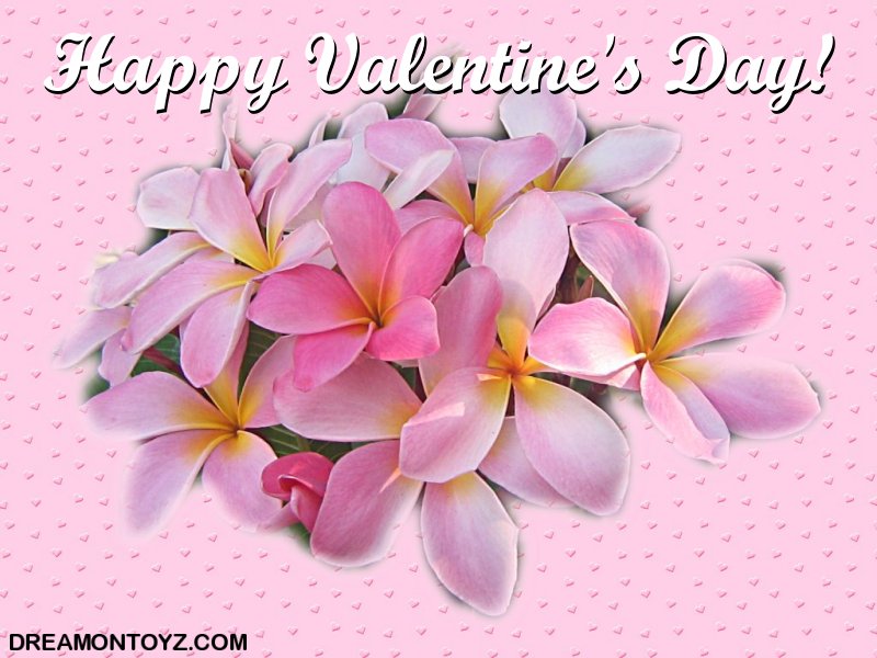 Pics Gifs Photographs Valentine Background And Wallpaper