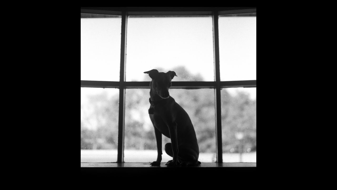 First Image From My Rolleiflex F