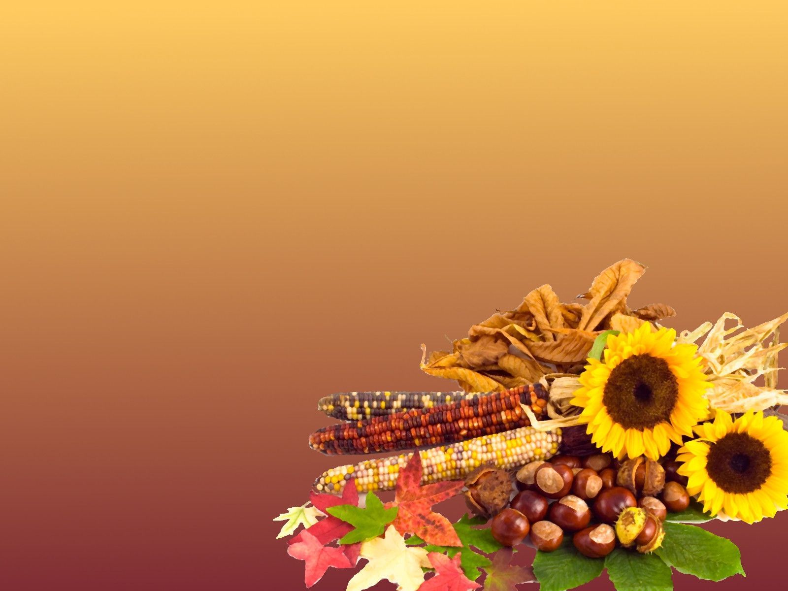 Thanksgiving Desktop Wallpaper Background Sf