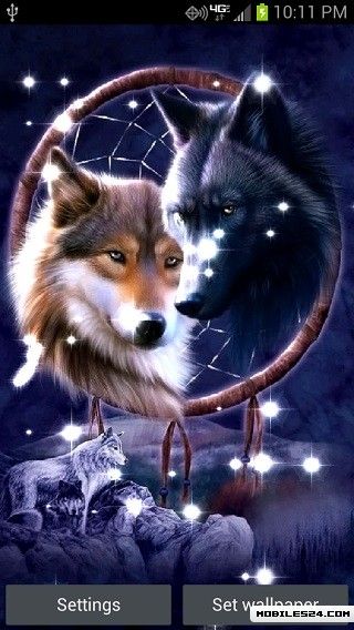 Dream Catcher Wolves Live Wallpaper Android App