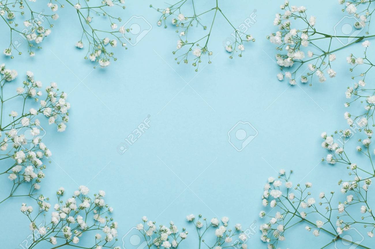 Wedding Flower Frame On Blue Background From Above Beautiful
