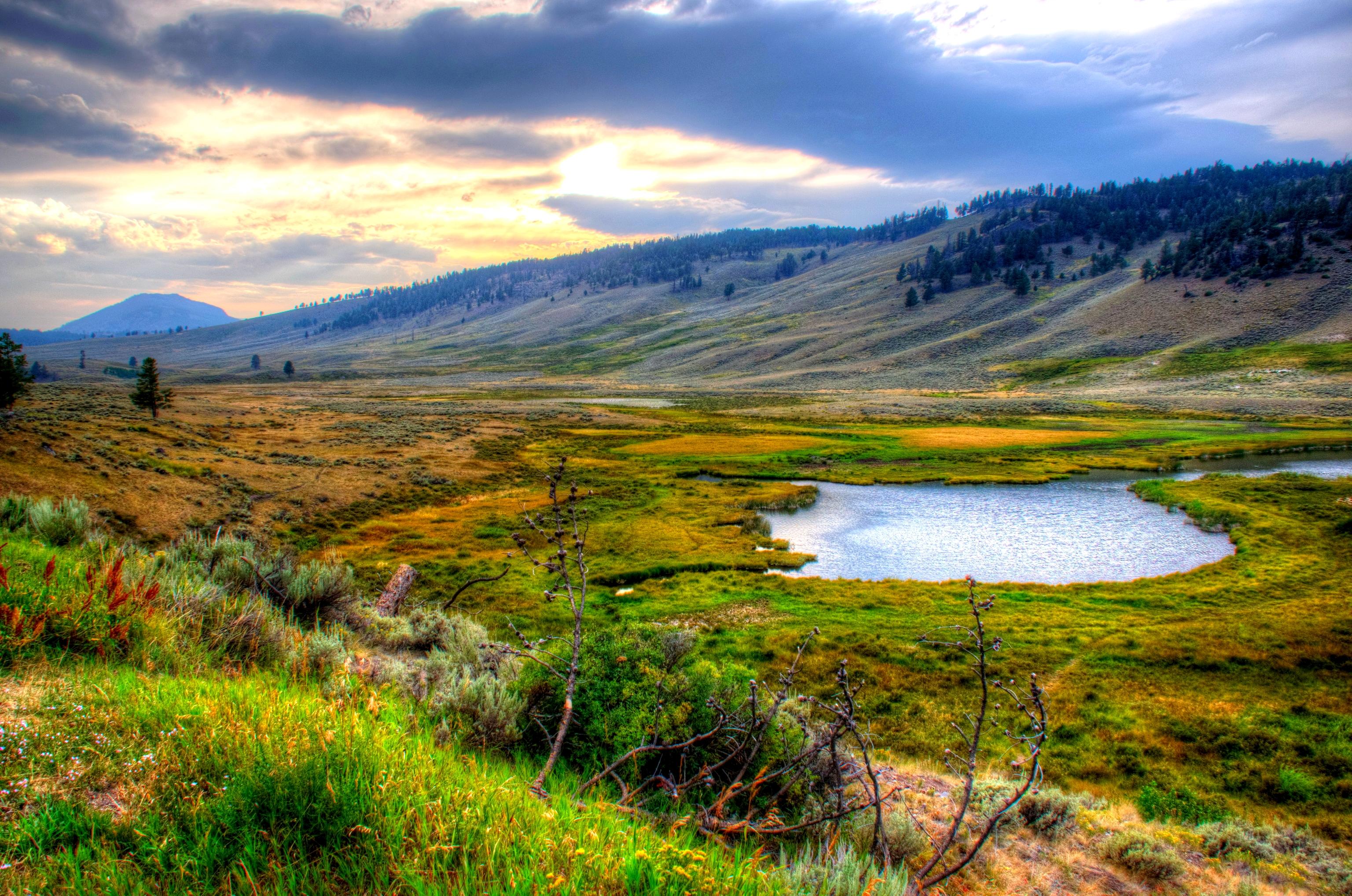 9049 yellowstone national park wallpapers