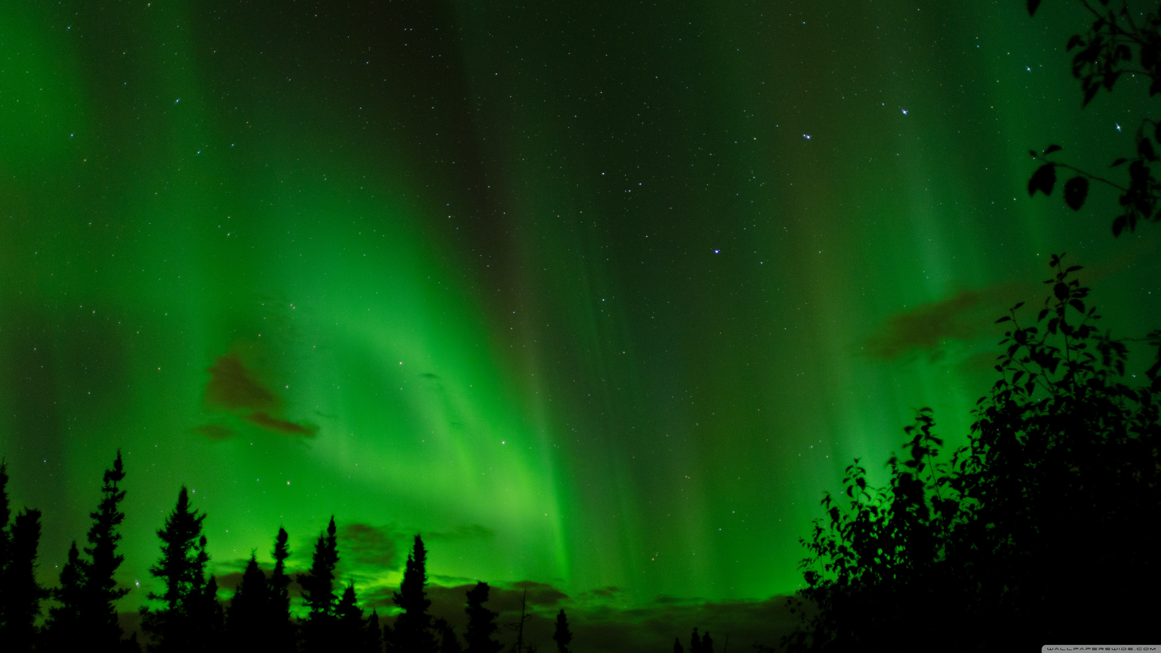 🔥 Download Northern Lights Aurora Borealis Over Lake Uhd 4k Wallpaper