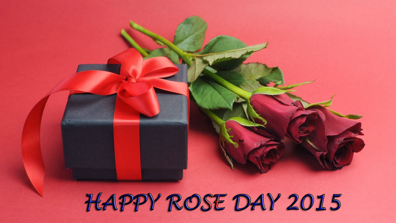 Happy Rose Day Wallpaper Photos