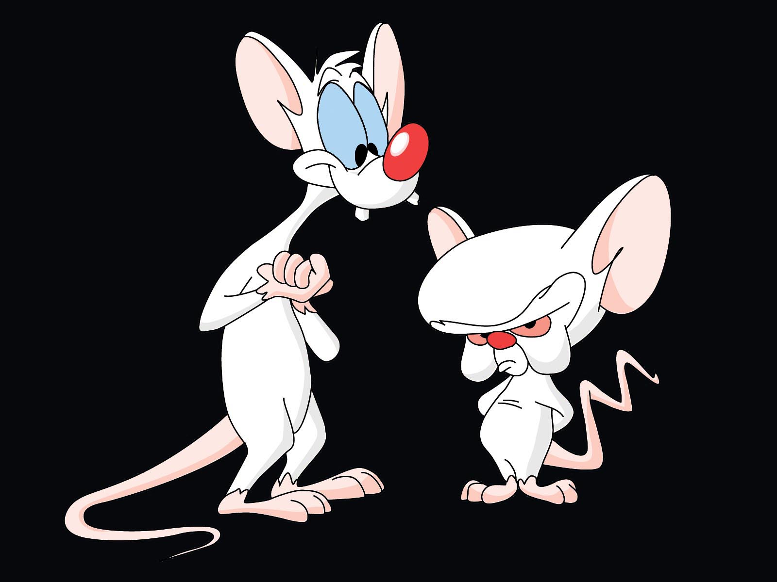 Pinky And The Brain Wallpaper 6   1600 X 1200 stmednet