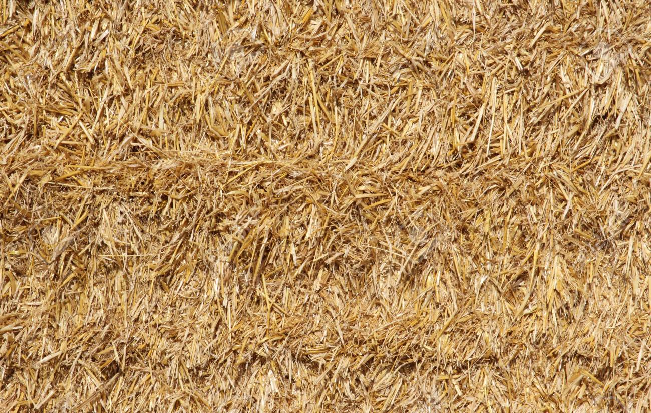 Free download Yellow Straw Bale Background Closeup Stock Photo Picture And  [1300x824] for your Desktop, Mobile & Tablet | Explore 40+ Bale Background  | Gareth Bale Wallpaper, Gareth Bale Wallpaper 2015, Gareth Bale Wallpapers