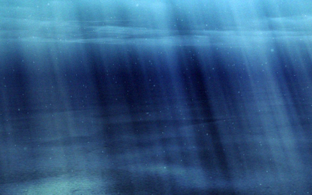 Under The Sea Live Wallpaper Screenshot