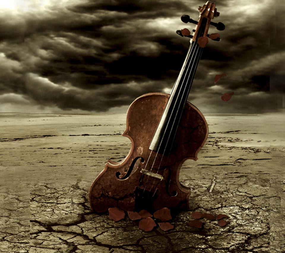 Music Cello Ground Dry Cloud Dark Rose Petals Crack Violoncello