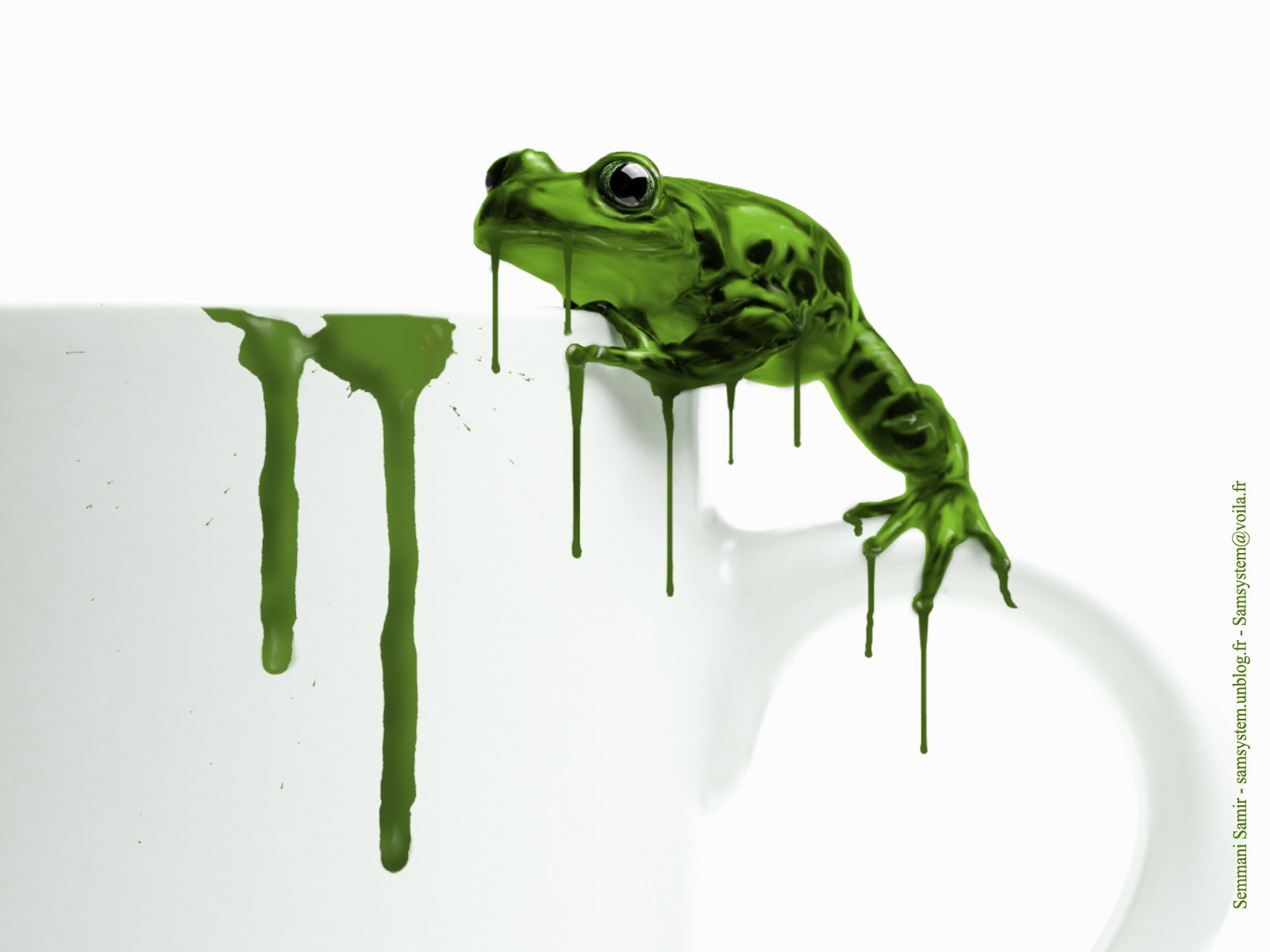 Vibrant Frog Art Wallpaper