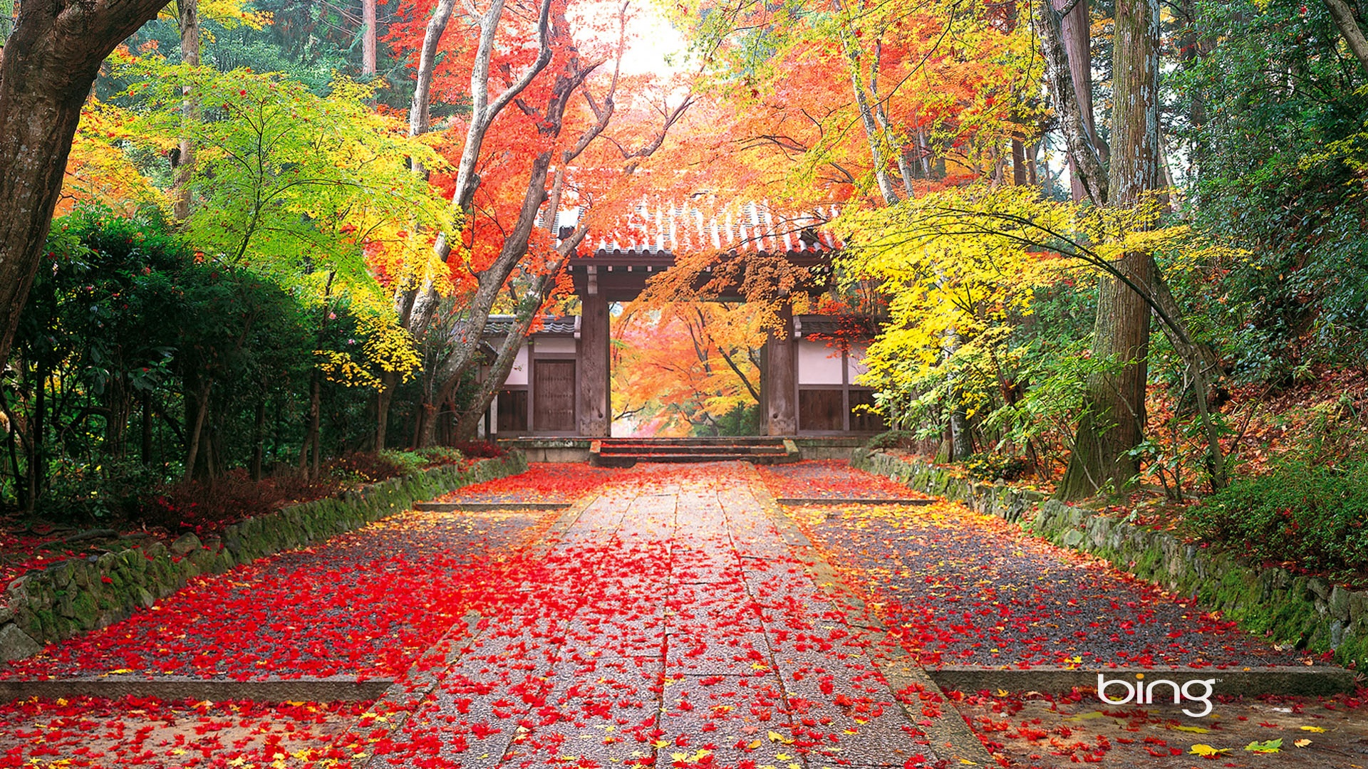 Autumn Japan Wallpaper