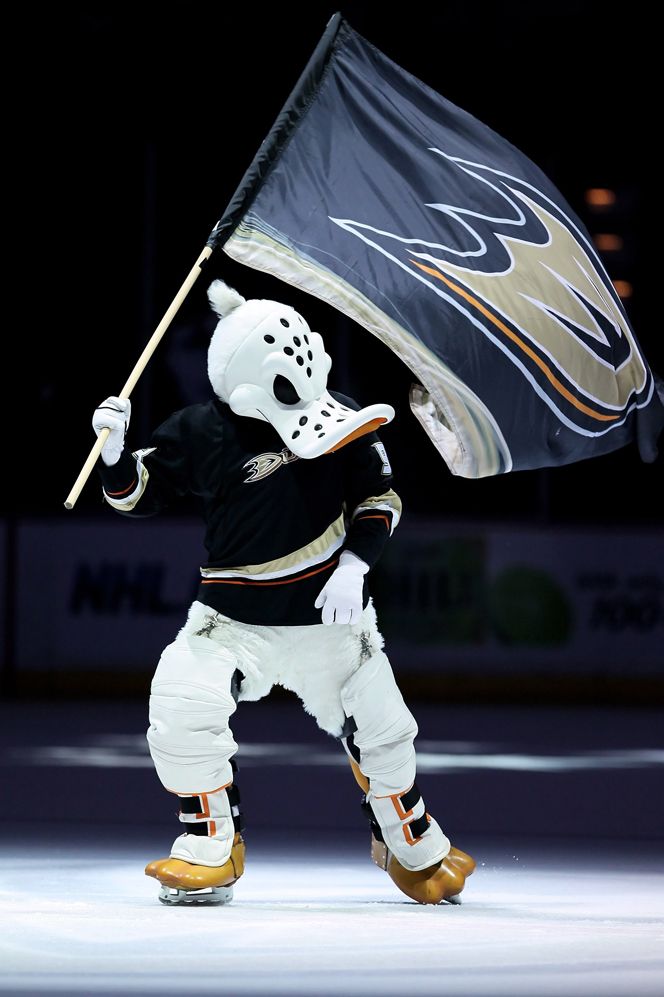 Photo Of The Day Sports Ducks Hockey Anaheim