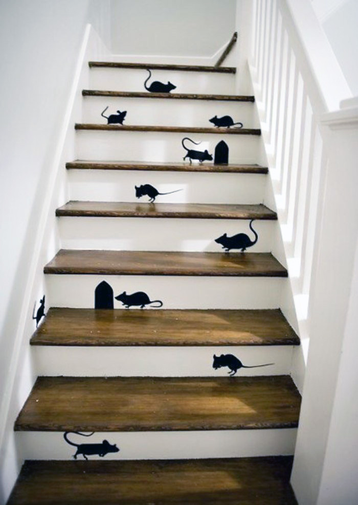 Stairs Where All Those Creepy Crawly Critters Hang Out Via Houzz