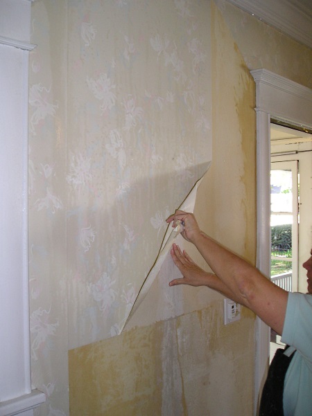 free-download-source-url-httpwwwuglyducklinghousecom201104stripping-in