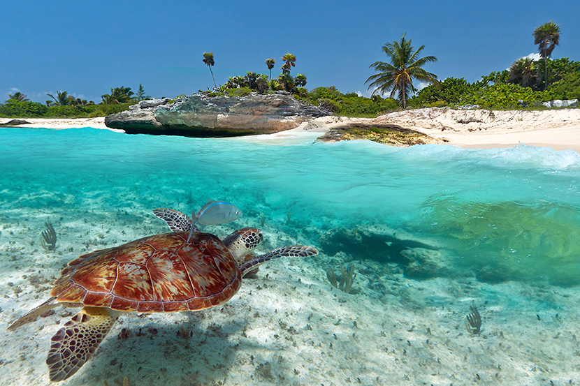Cancun Holidays Desktop Background Hivewallpaper