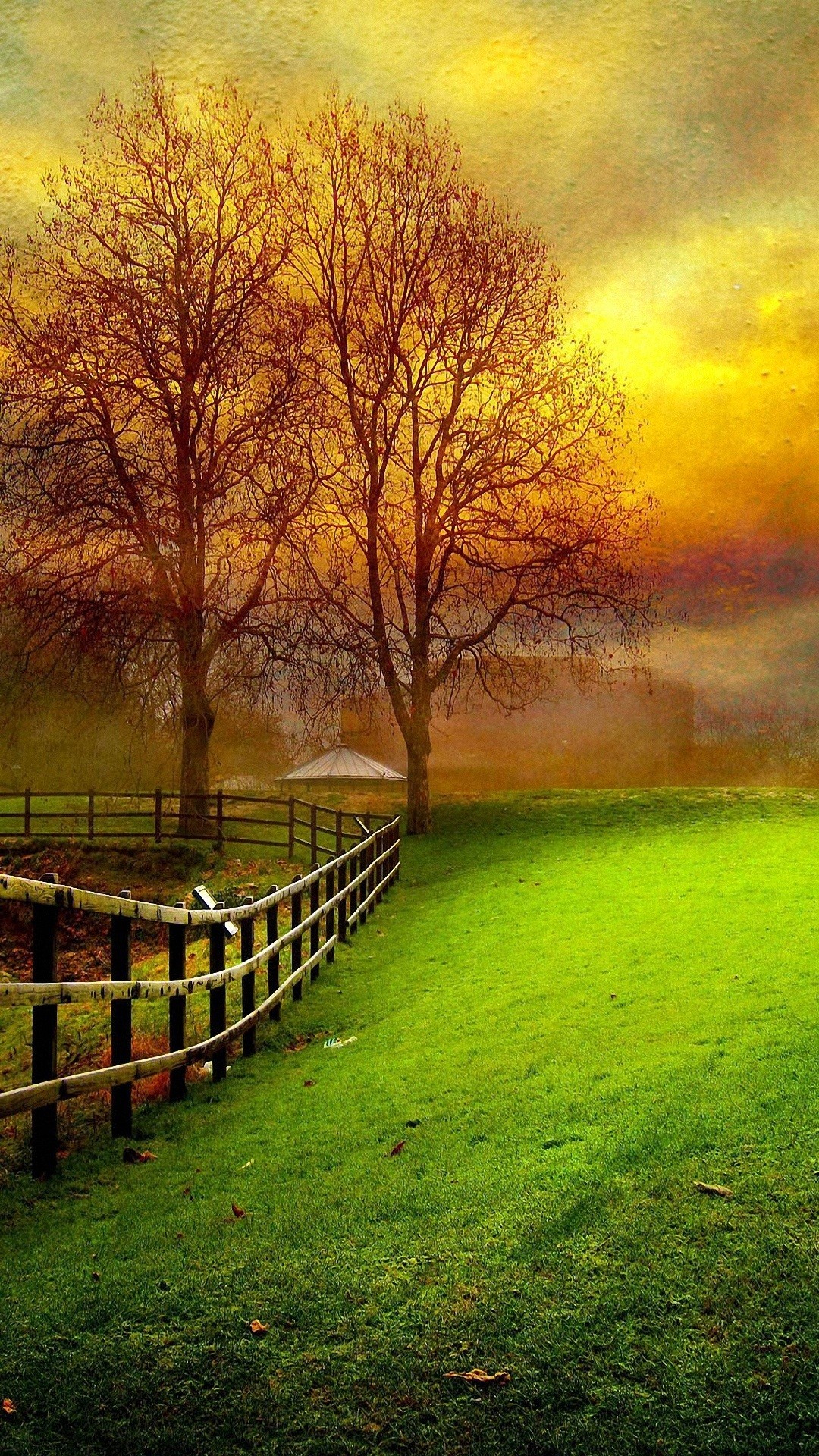 Beautiful Wallpaper For Mobile Phone