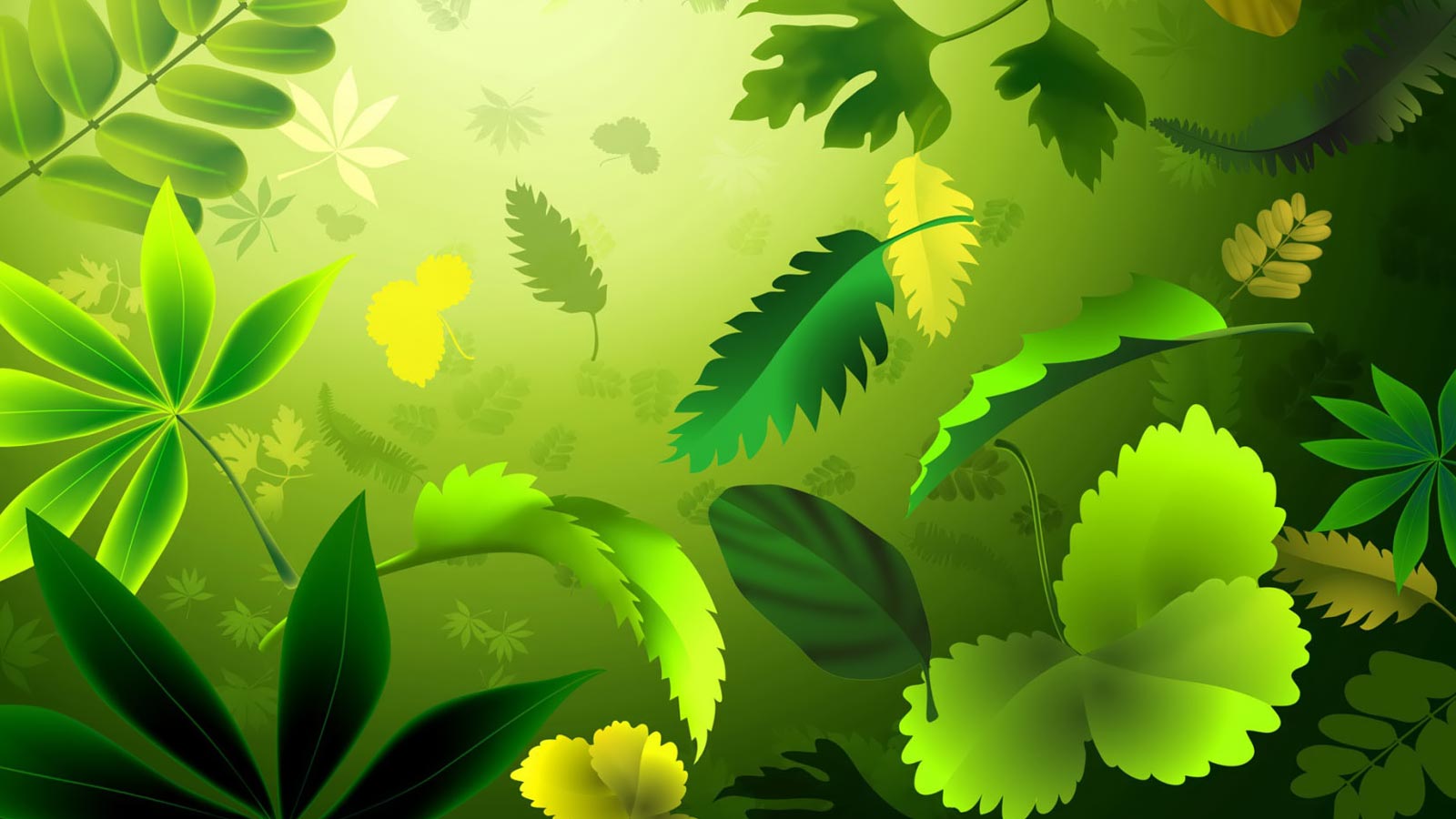 Nature Book Background S
