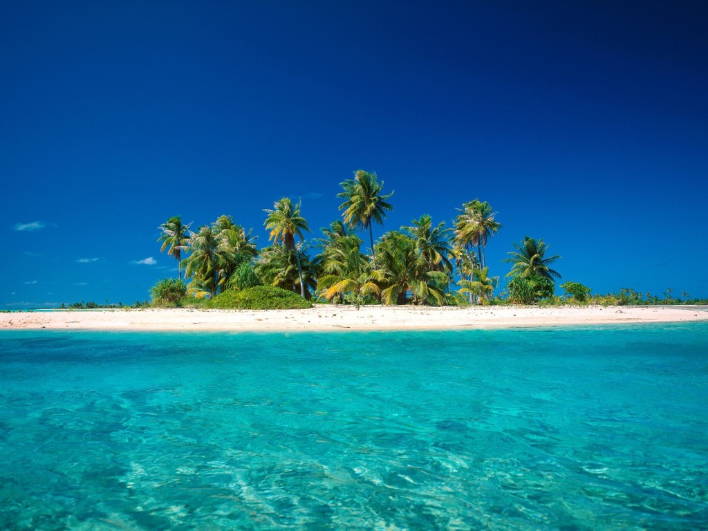 Coconut Island Desktop Wallpaper S