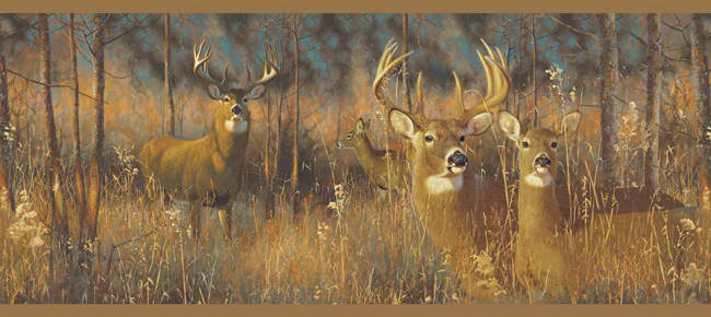 Brown Green Wg0346bd White Tail Deer Wallpaper Border Lodge