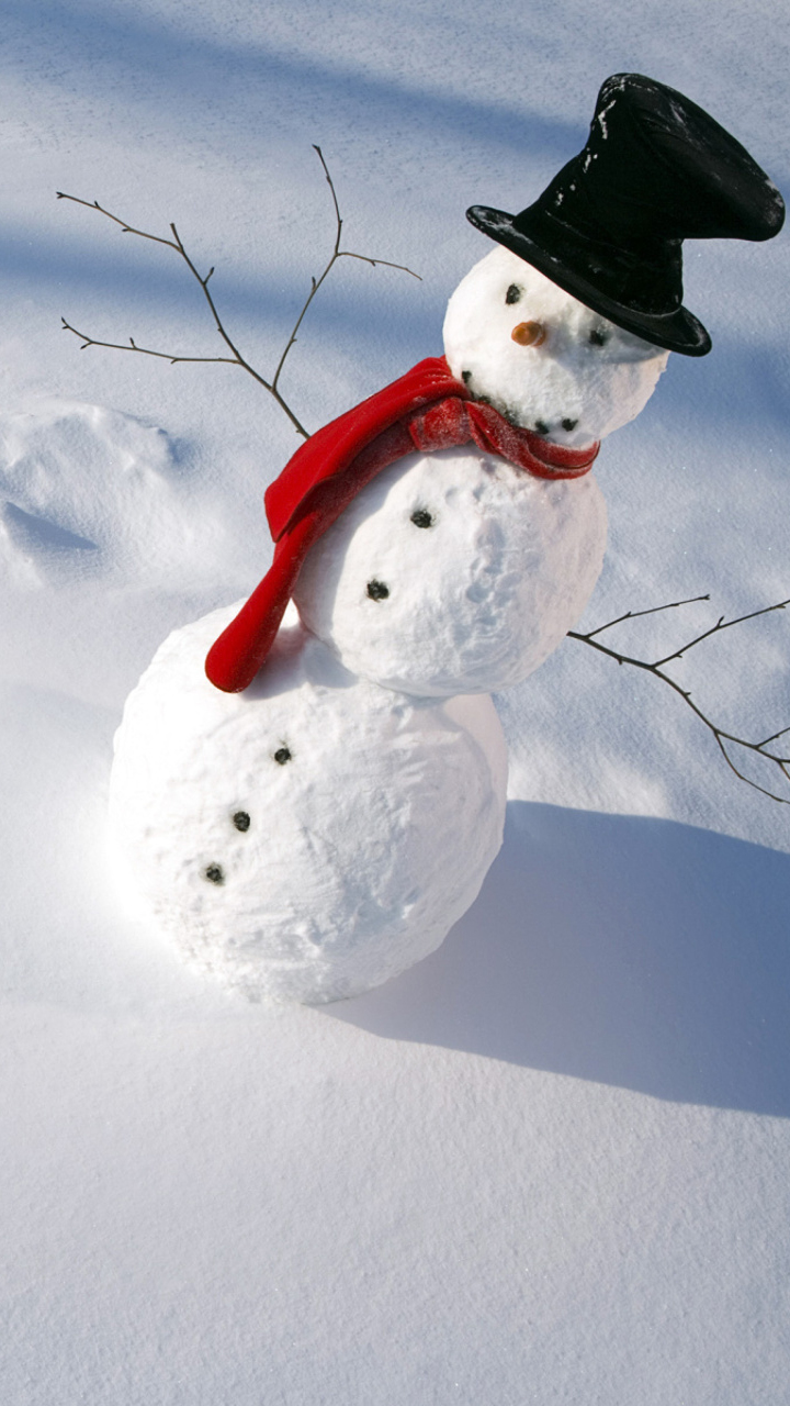 Happy Snowman Screensaver Wallpaper