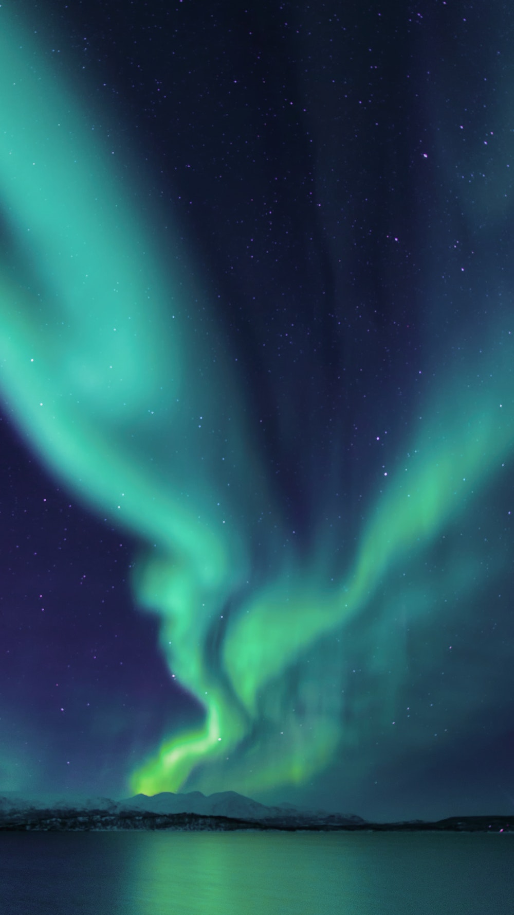 Best 20 Stunning Northern Lights Pictures Download Free Images