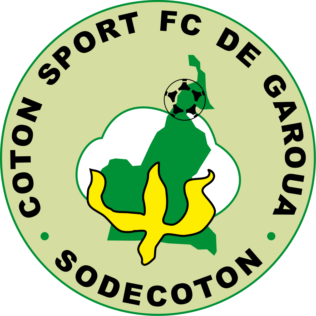 Coton Sport Football Club De Garoua Wikip Dia