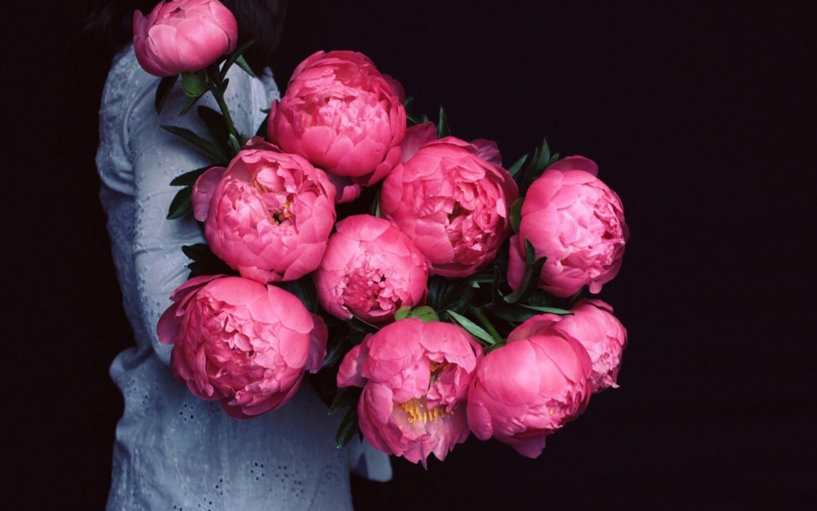 Peonies Wallpaper