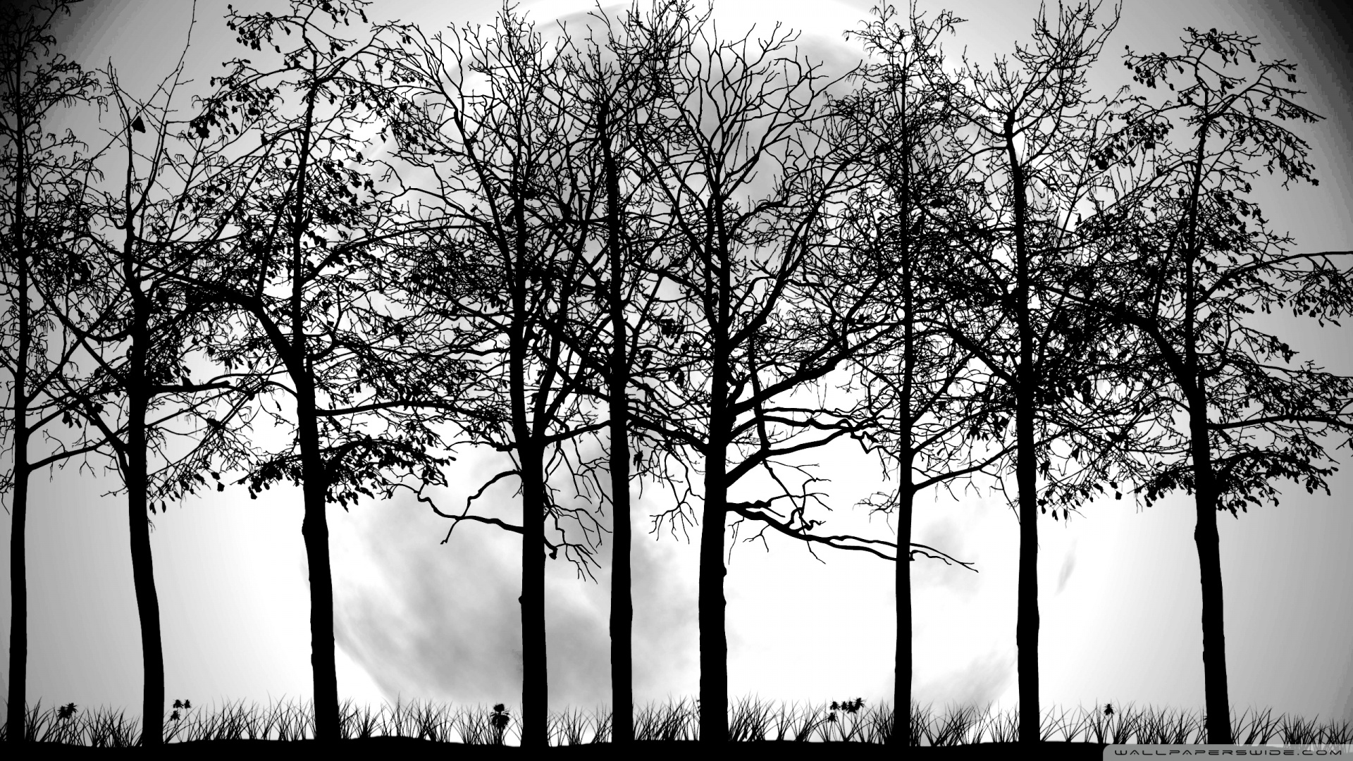 Free download Trees Silhouette Wallpaper 1920x1080 Trees