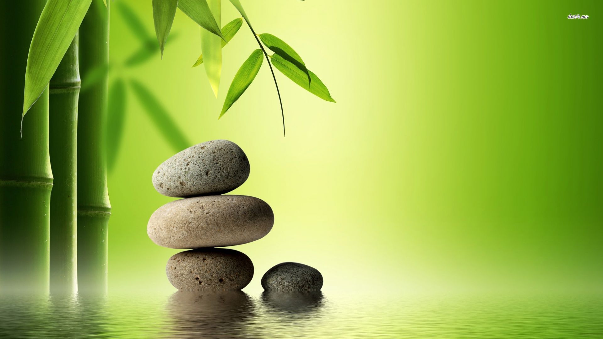 Bamboo And Zen Stones Wallpaper Wide Hd