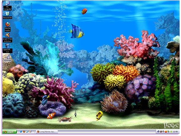 Living Marine Aquarium Animated Wallpaper Free Wallpaper