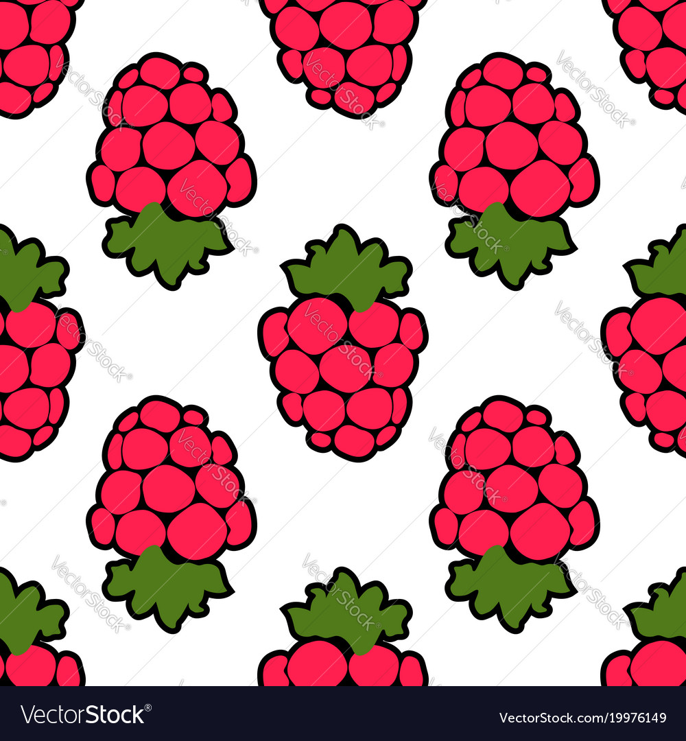 Seamless Raspberry Background White Pink Pattern Vector Image