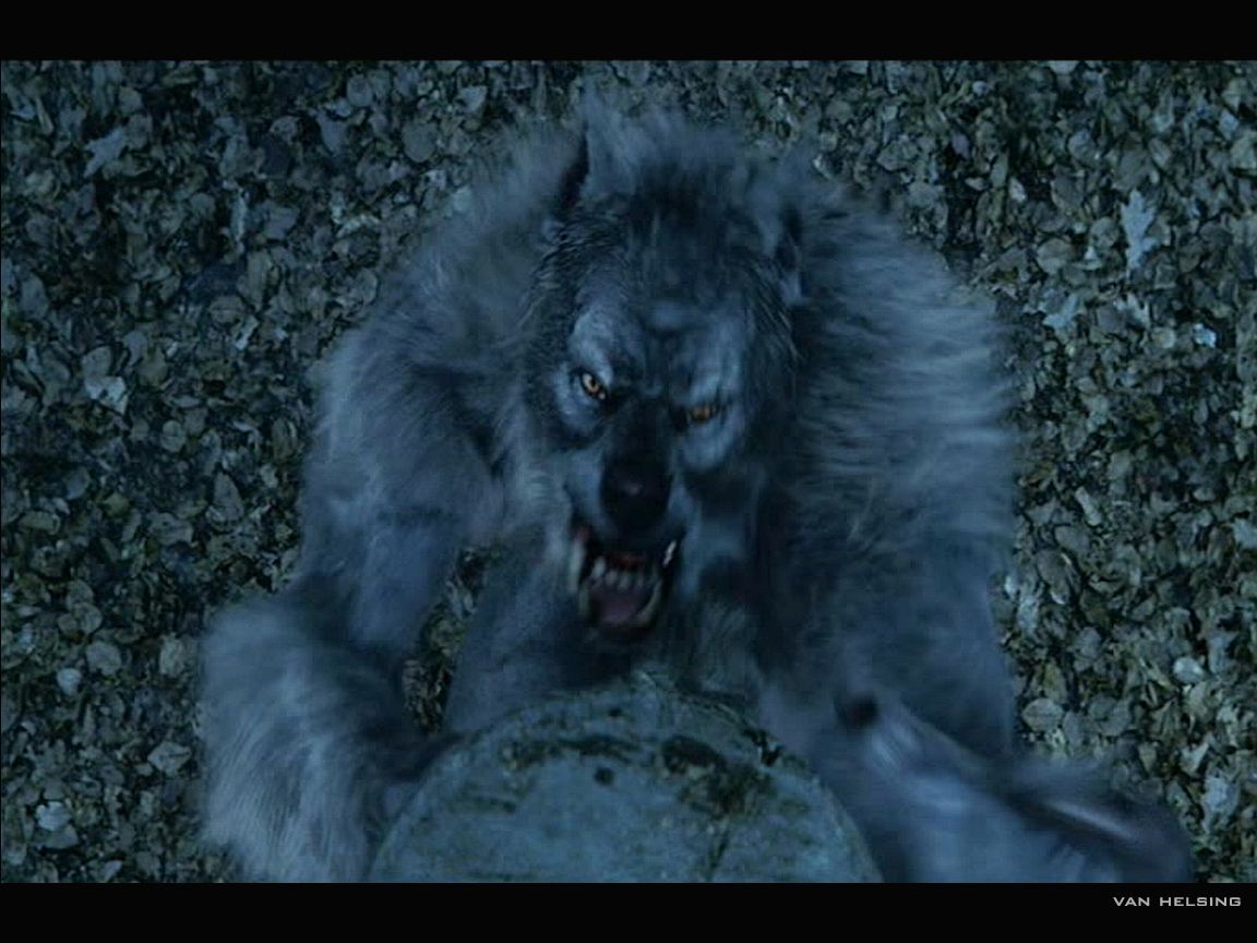 Ing Gallery For Werewolf Van Helsing Wallpaper