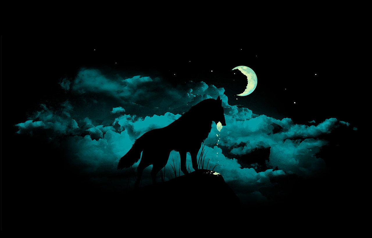 Wolf Moon Wallpaper 10639 Hd Wallpapers in Animals   Imagescicom