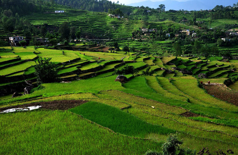 Kausani Pictures Travel Photos Picture Gallery Image Of
