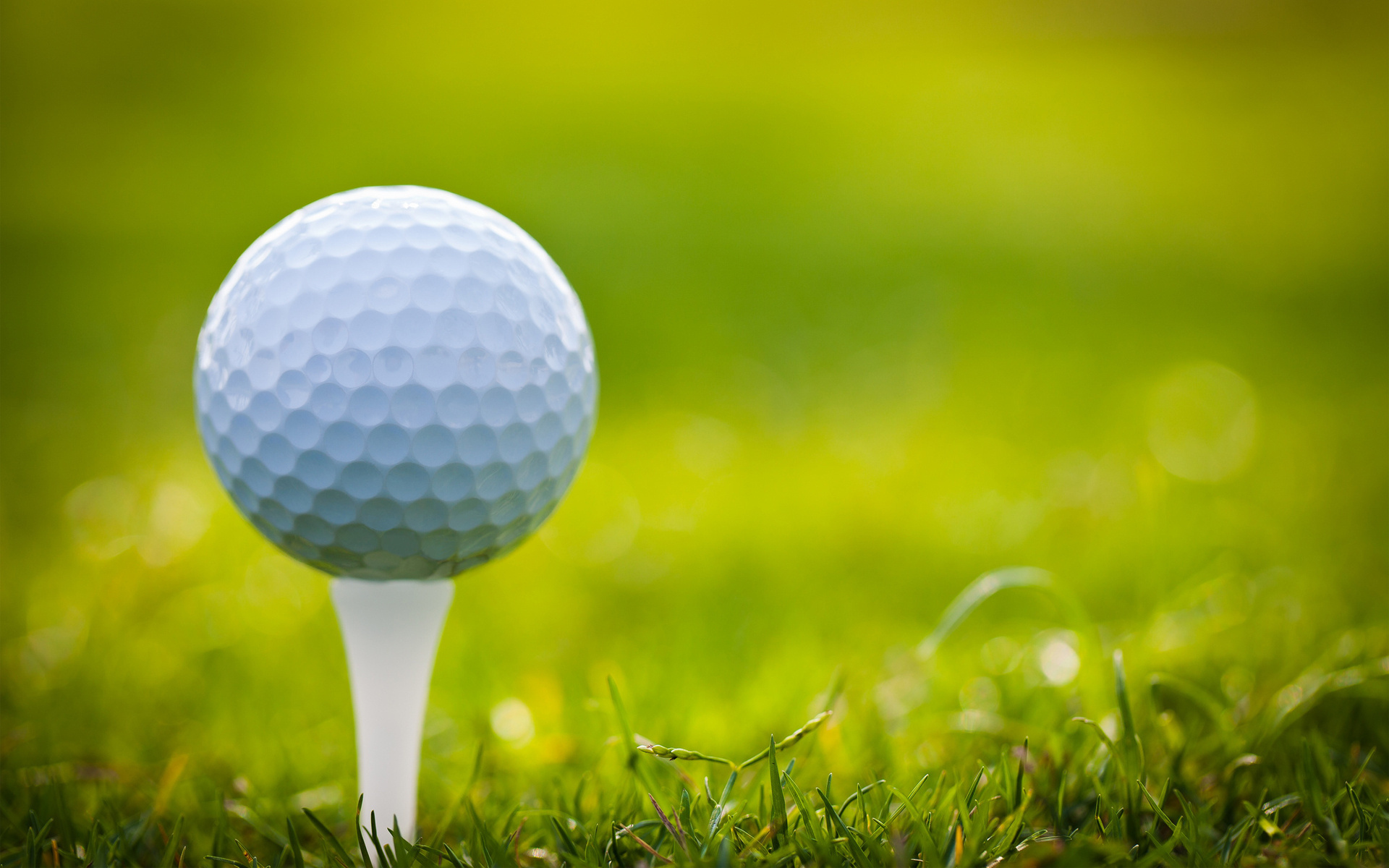 Golf Course HD Wallpaper Sports Background
