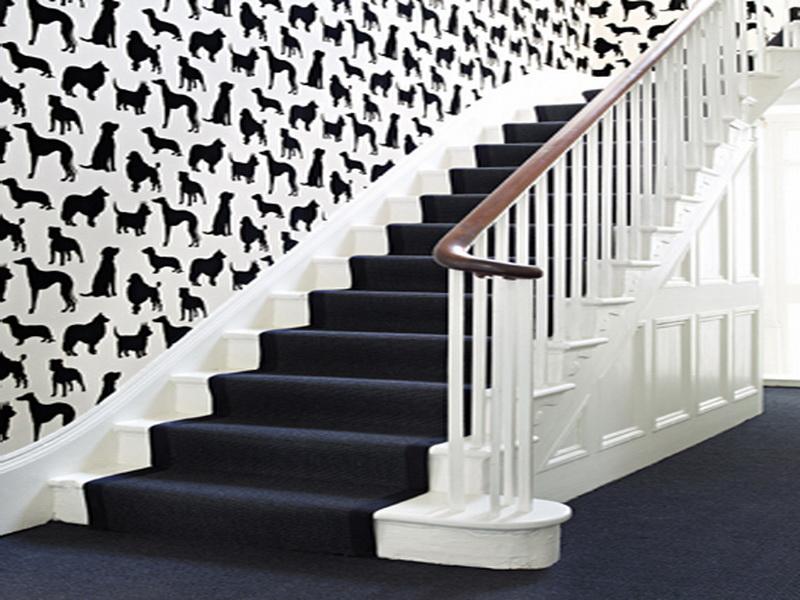 Best In Show Wallpaper On Stairs Uploaded By Giesendesign At Sep