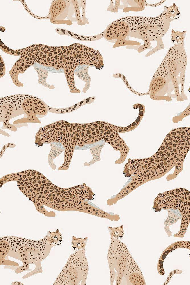 Dani Salveraglio On Guardados Animal Print Wallpaper