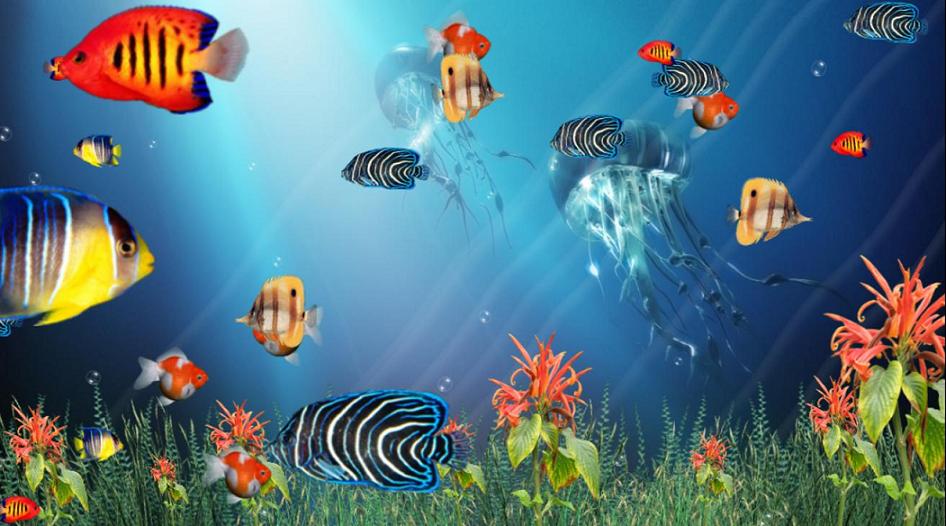 Wonderful Tropical Fish In The Ocean Aquarium 3d Screensaver Now With