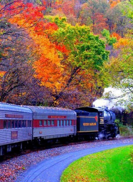 New England Fall Foliage Train