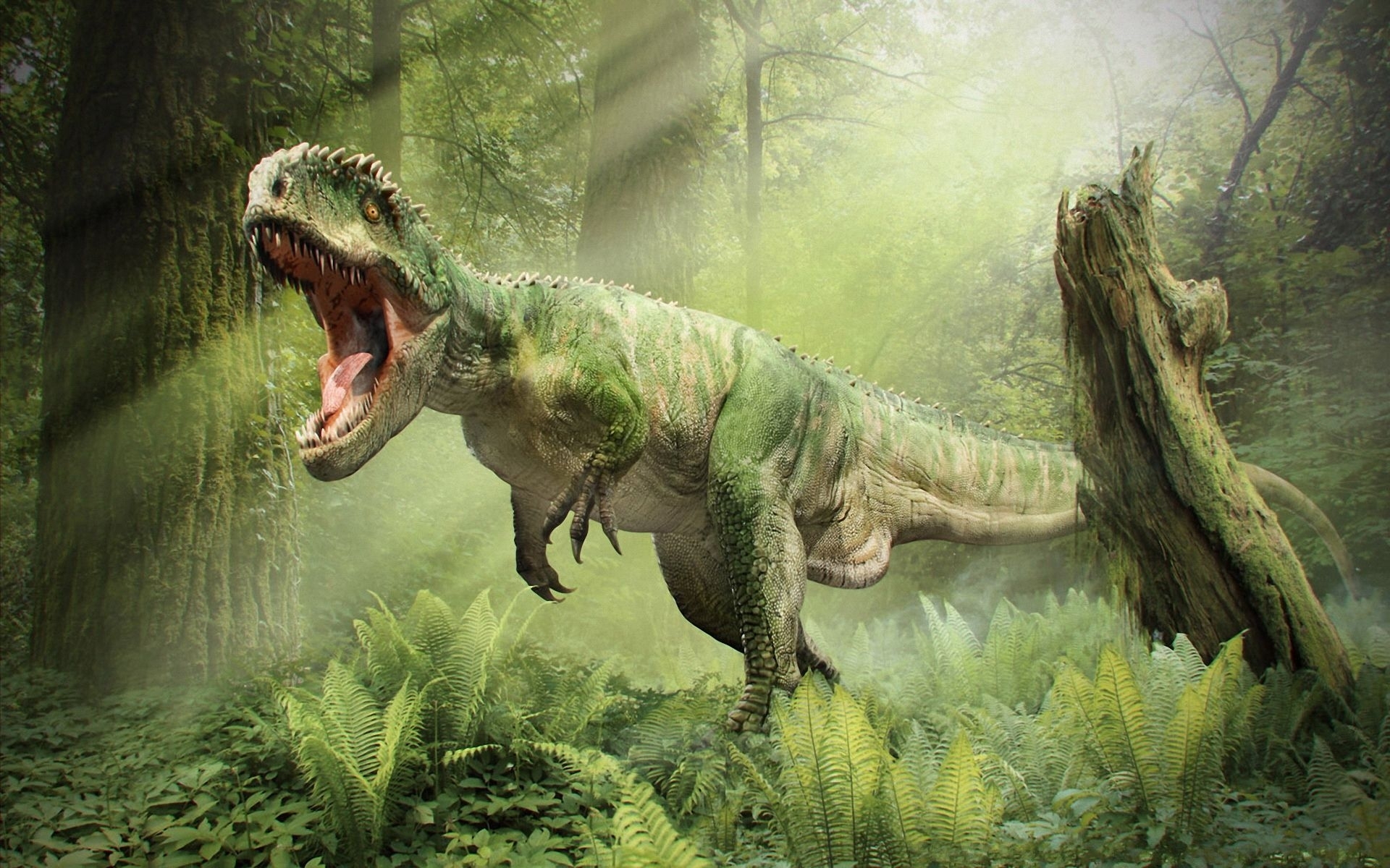 Dinosaur T Rex Roar Fall Forest Wallpaper Photos Pictures
