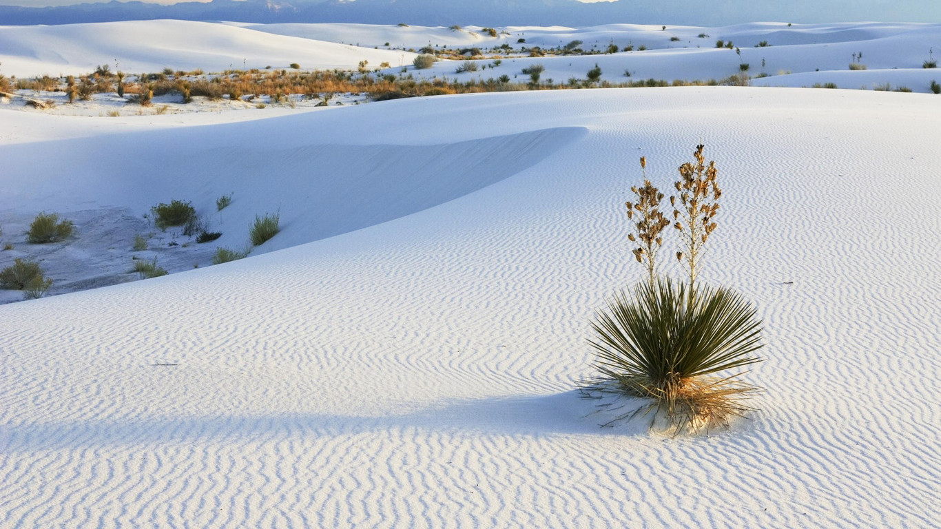 White Sands New Mexico wallpaper 12667 1366x768
