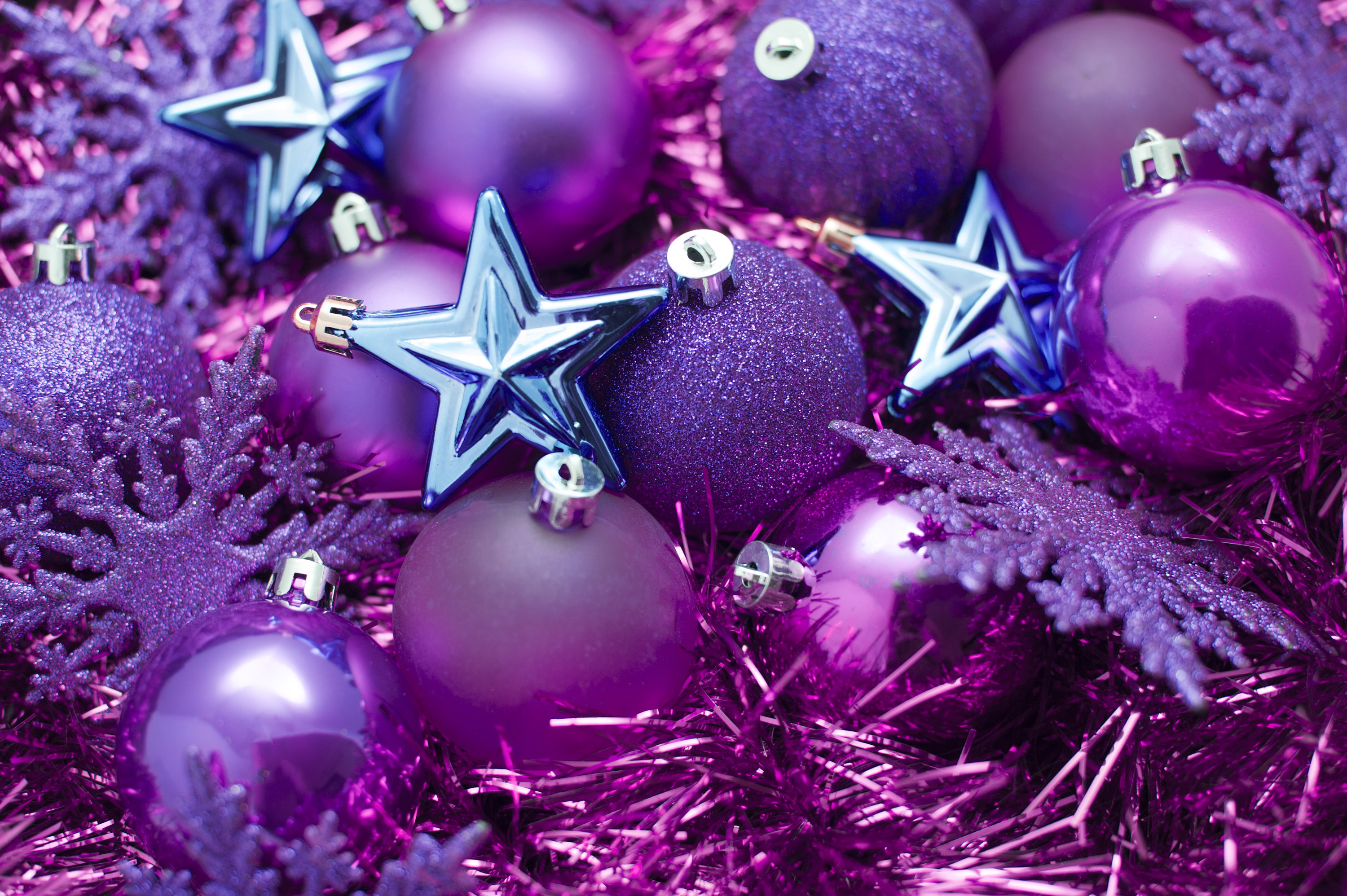 Photo Of Purple And Pink Christmas Image