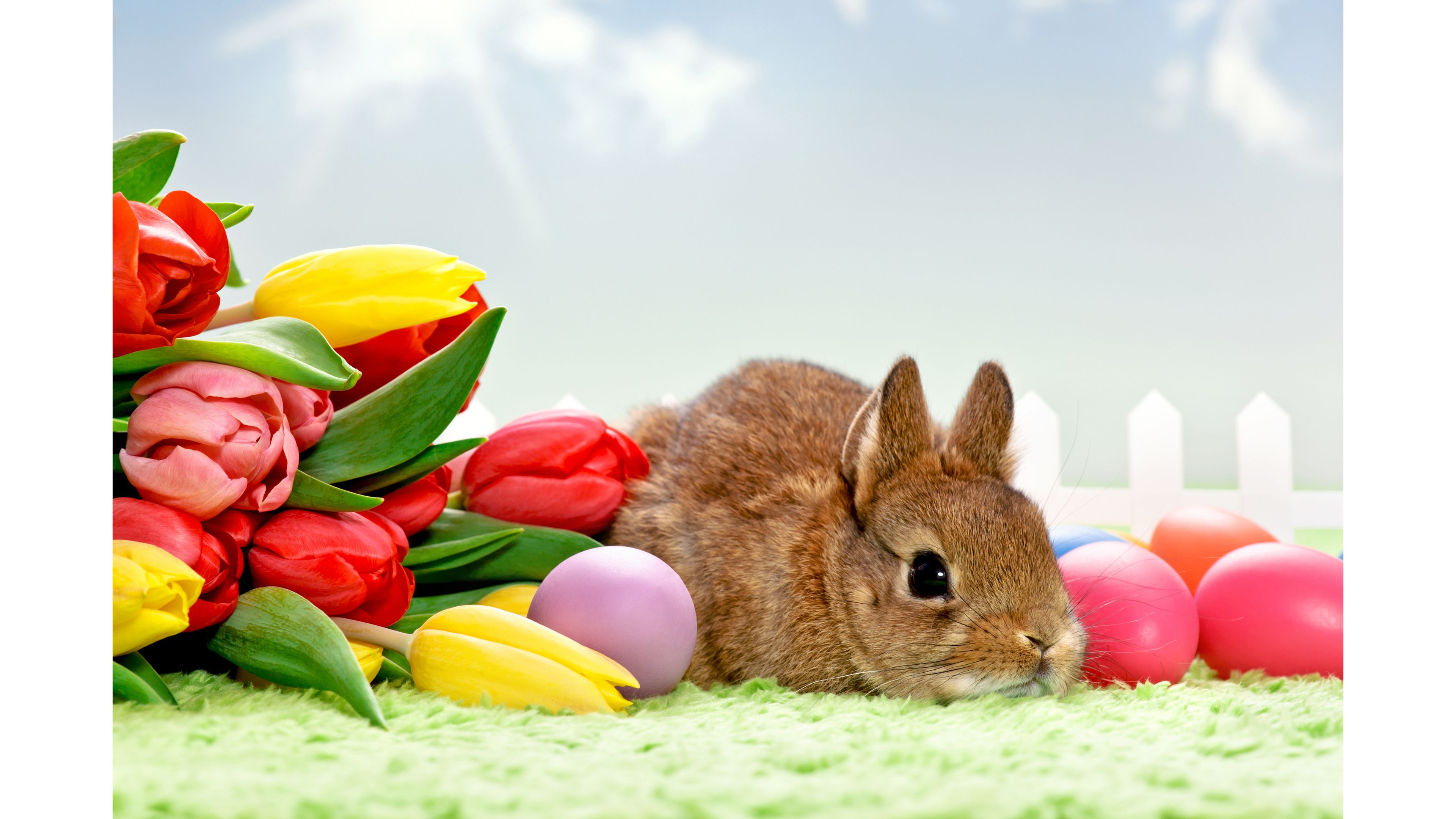 Bunny Easter 4k Wallpaper