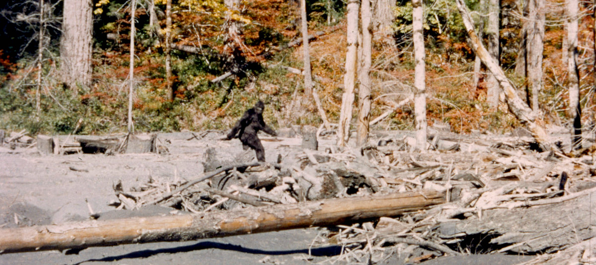 On Peter Matthiessen S Lifelong Fascination With Bigfoot