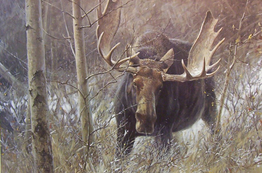 Mister Moose Wallpaper