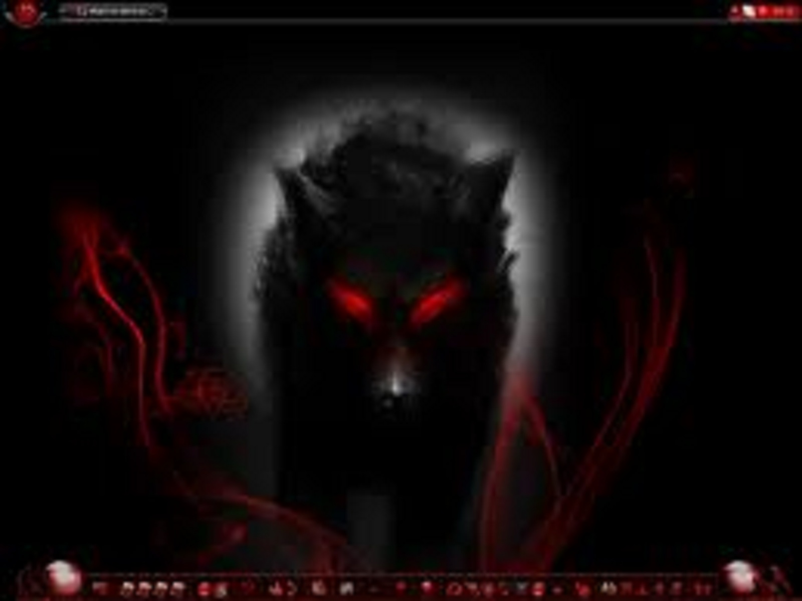Wolf Lovers Place Image Dark HD Wallpaper And Background