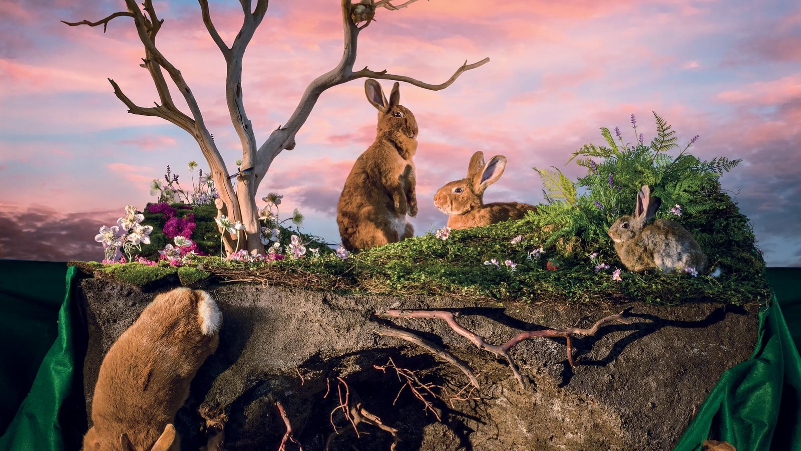 On The Unsettling Allure Of Watership Down New York Times